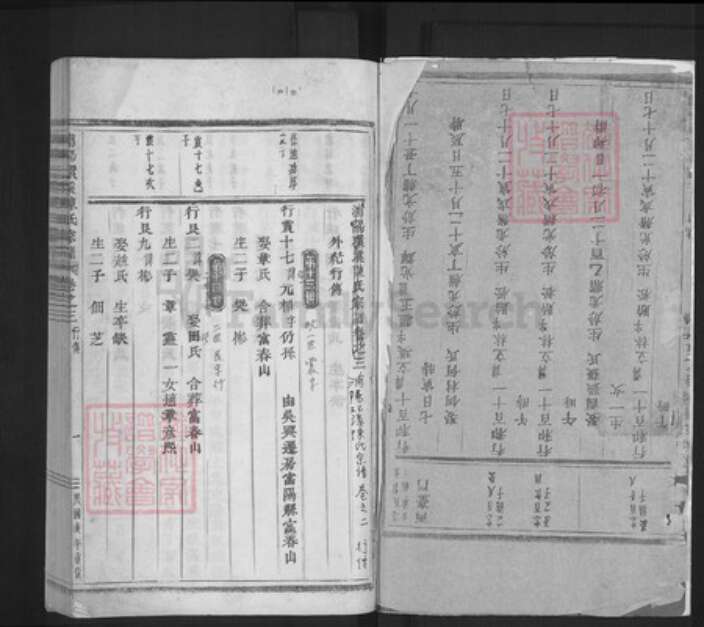 浙江省金华市浦江县陈氏族谱-浦阳环溪陈氏宗谱.pdf电子版预览图1