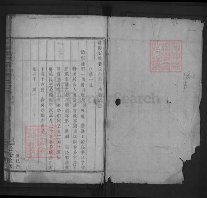 浙江省金华市浦江县费氏族谱-浦阳费氏宗谱.pdf电子版预览图1