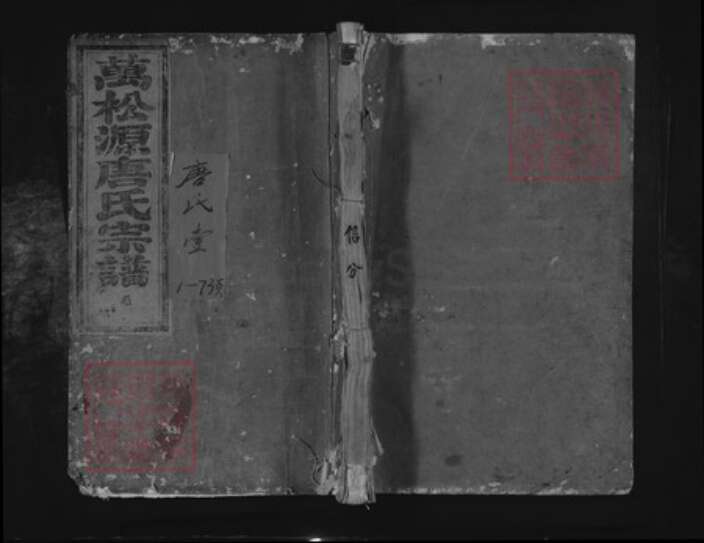 浙江省金华市兰溪市黄店镇唐氏万松堂族谱-万松源唐氏宗谱.pdf电子版缩略图