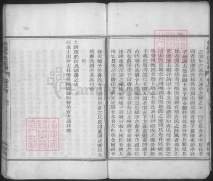 浙江省金华市兰溪市黄店镇唐氏万松堂族谱-万松源唐氏宗谱.pdf电子版预览图5