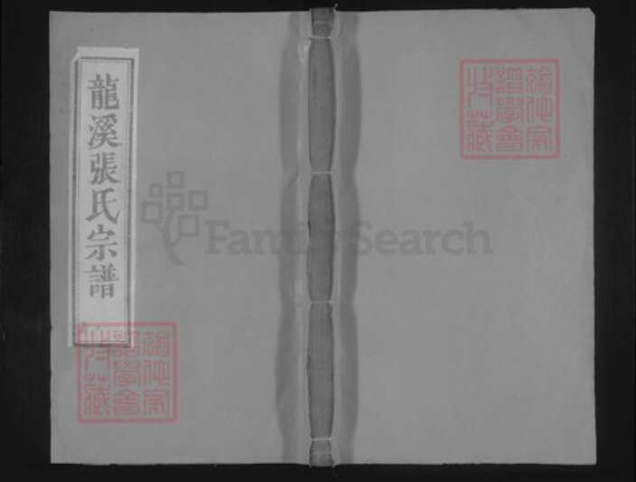 浙江省金华市浦江县白马镇张氏族谱-龙溪张氏八甲宗谱.pdf电子版缩略图