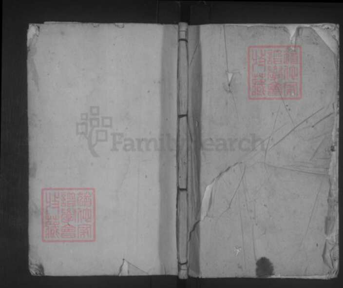 江西省九江市德安县车桥镇夏氏双峰堂族谱-夏氏宗谱.pdf电子版缩略图