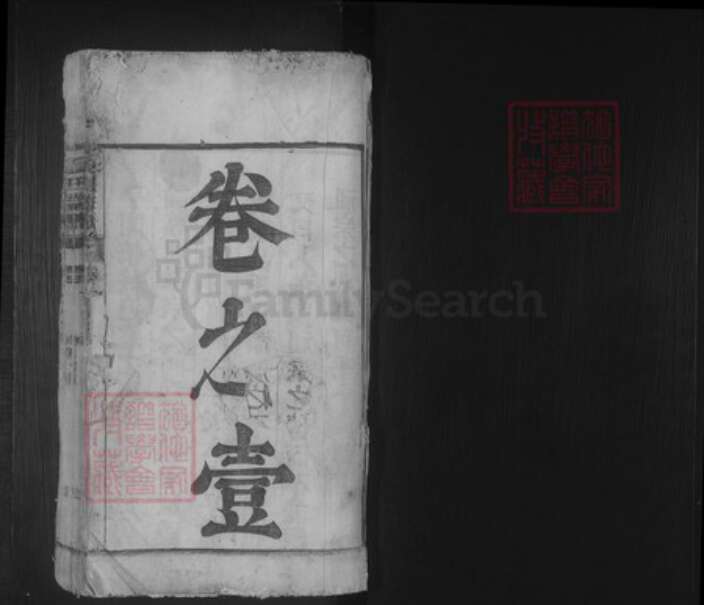 安徽省合肥市庐江县白山镇夏氏族谱-夏氏宗谱.pdf电子版预览图1