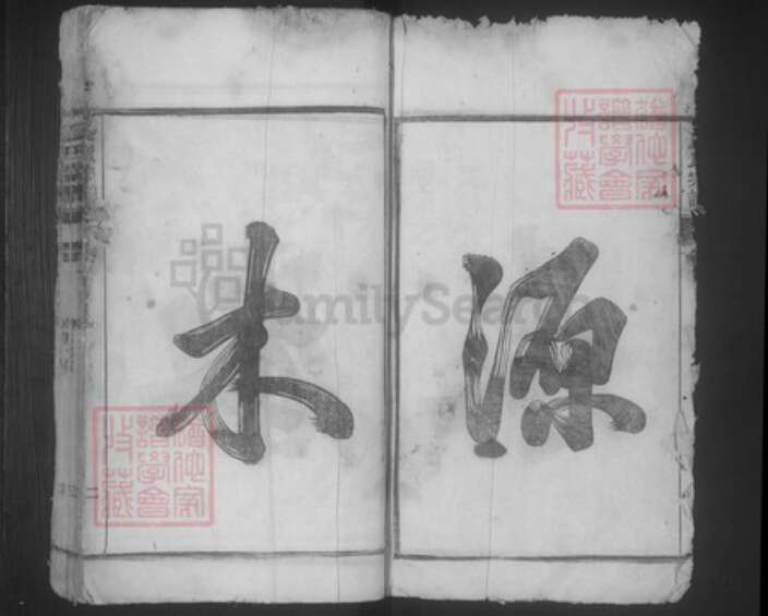 安徽省合肥市庐江县白山镇夏氏族谱-夏氏宗谱.pdf电子版预览图3