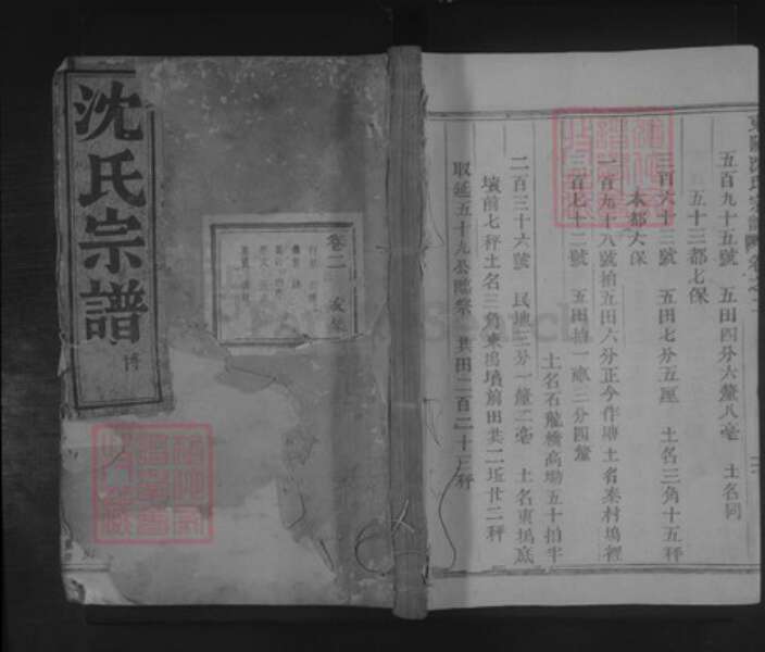 浙江省金华市东阳市沈氏族谱-东阳沈氏宗谱.pdf电子版缩略图