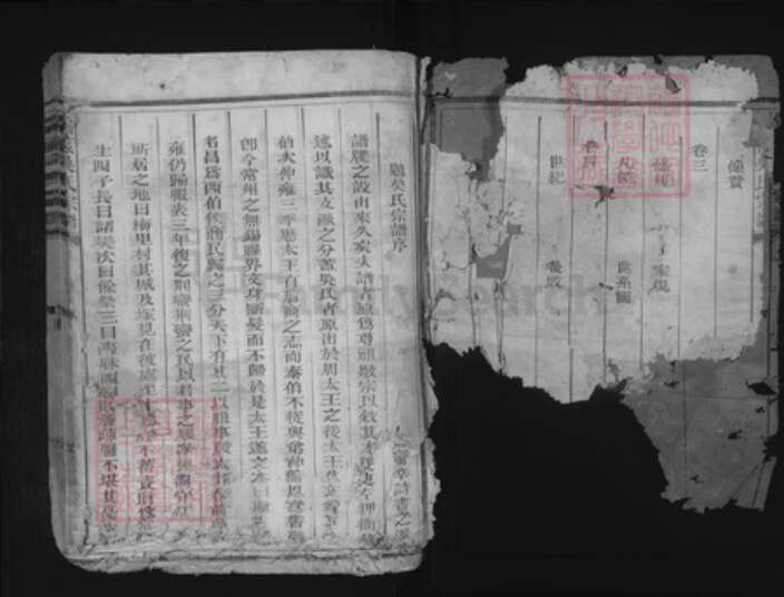 浙江省衢州柯城区吴氏族谱-棠荫吴氏宗谱.pdf电子版预览图2