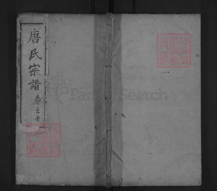 湖北省黄冈市红安县唐氏晋阳堂族谱-唐氏宗谱.pdf电子版缩略图