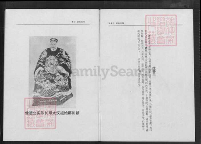 海南省海口市秀英区东山镇陈氏德星堂族谱-海南陈氏族谱.pdf电子版预览图5
