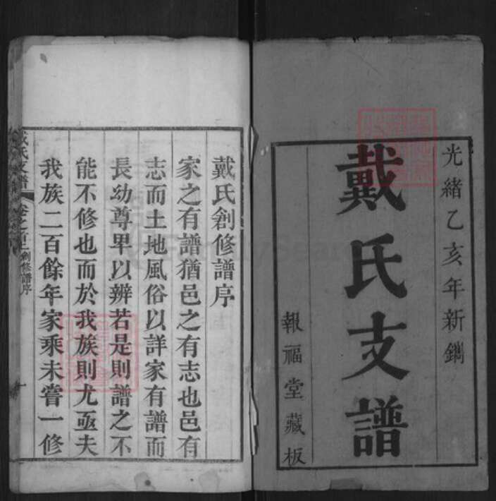 湖北省黄冈市红安县戴氏报福堂族谱-戴氏支谱.pdf电子版预览图1