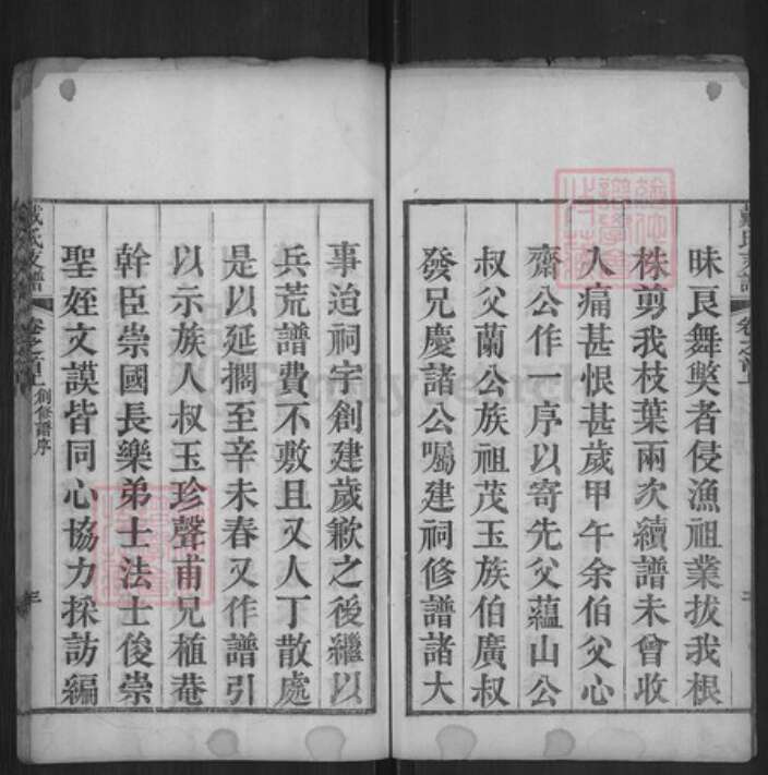 湖北省黄冈市红安县戴氏报福堂族谱-戴氏支谱.pdf电子版预览图3