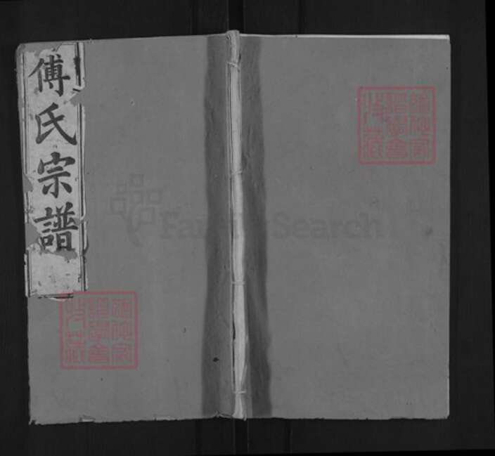 湖北省黄冈市麻城市傅氏三说堂族谱-傅氏宗谱.pdf电子版缩略图