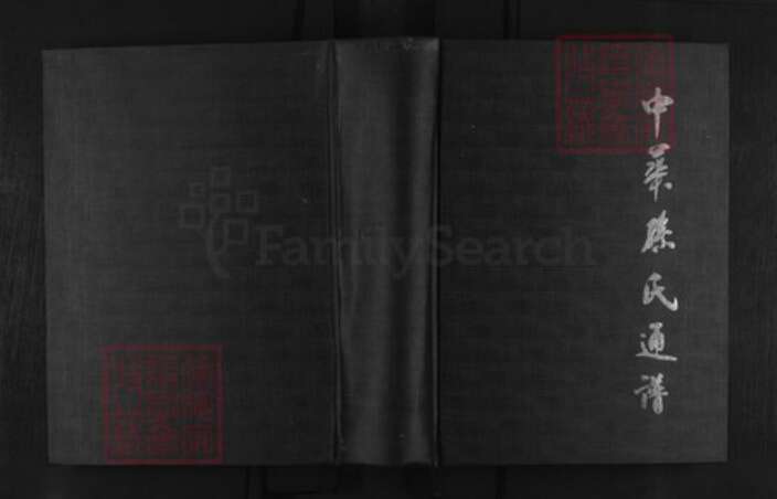 山东省东营市广饶县孙氏乐安堂族谱-中华孙氏通谱.乐安孙氏卷.pdf电子版缩略图