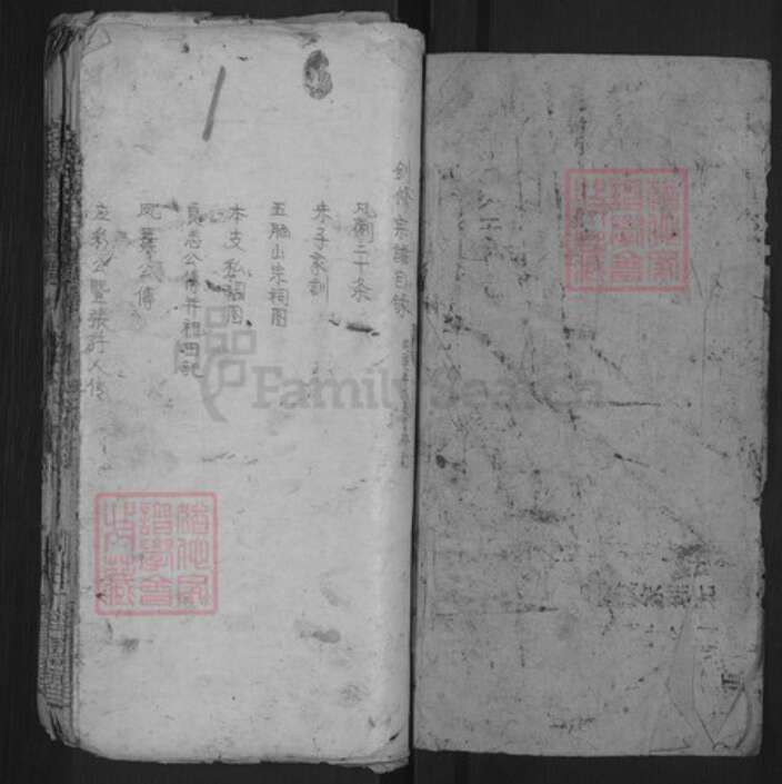 湖北省黄冈市麻城市毛氏乐寿堂族谱-毛氏宗谱.pdf电子版预览图1