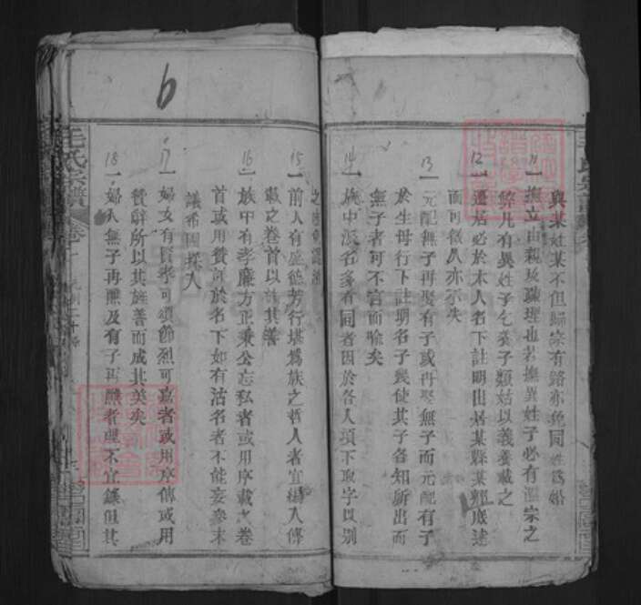 湖北省黄冈市麻城市毛氏乐寿堂族谱-毛氏宗谱.pdf电子版预览图5