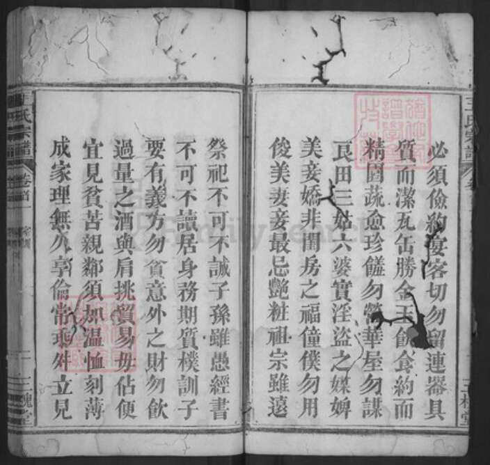 湖北省随州市随县三里岗镇王氏三槐堂族谱-王氏宗谱.pdf电子版预览图4