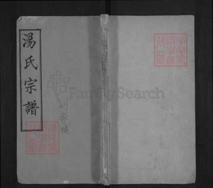 湖北省黄冈市浠水县洗马镇汤氏玉茗堂族谱-汤氏宗谱.pdf电子版缩略图