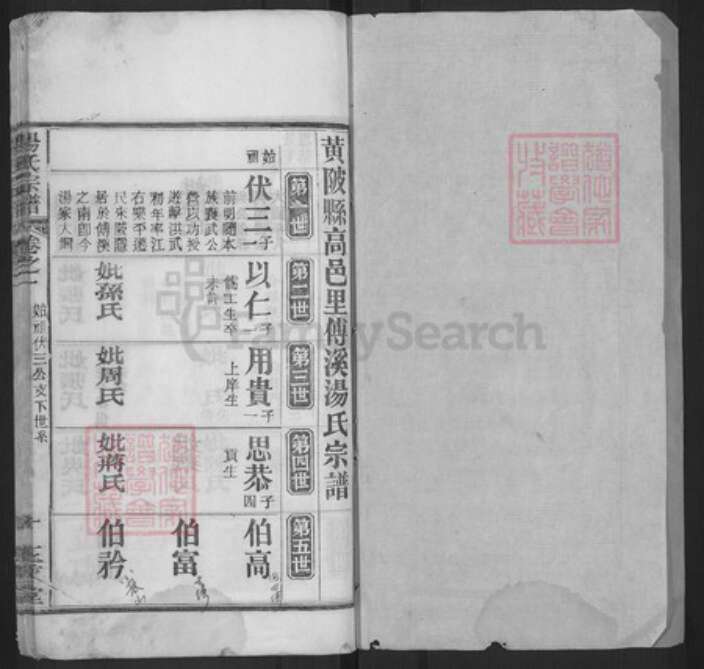 湖北省黄冈市浠水县洗马镇汤氏玉茗堂族谱-汤氏宗谱.pdf电子版预览图1