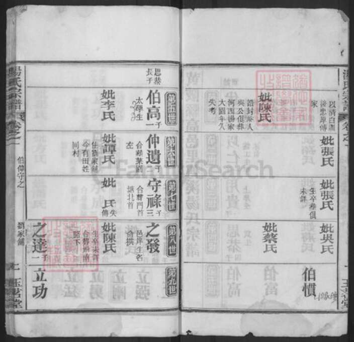 湖北省黄冈市浠水县洗马镇汤氏玉茗堂族谱-汤氏宗谱.pdf电子版预览图2