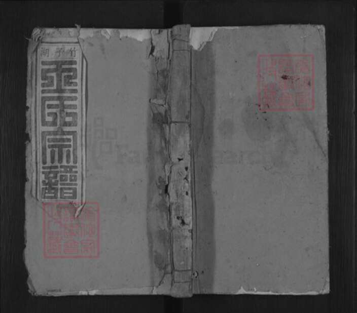 安徽省安庆市桐城市王氏族谱-竹子湖王氏族谱.pdf电子版缩略图