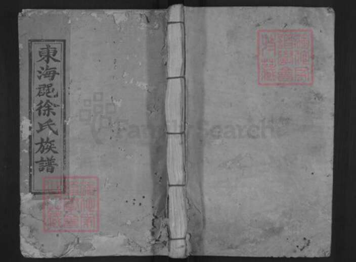 福建省三明市宁化县徐氏族谱-徐家庄徐氏重修族谱.pdf电子版缩略图