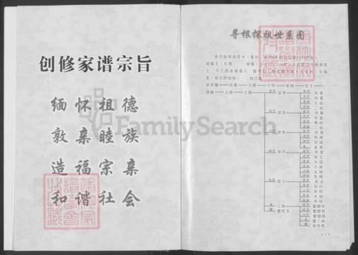 湖南省常德市汉寿县洲口镇徐氏东海堂族谱-徐立朝家谱.pdf电子版预览图5