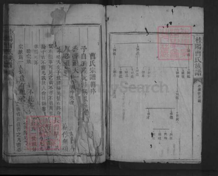 湖南省郴州市桂阳县曹氏族谱-桂阳曹氏宗谱.pdf电子版预览图1