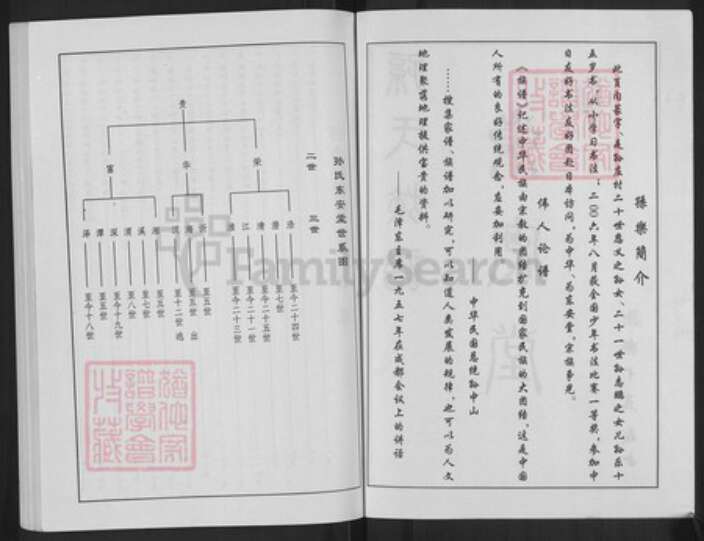 江苏省徐州市丰县大沙河镇孙氏东安堂族谱-古丰孙氏族谱.pdf电子版预览图2