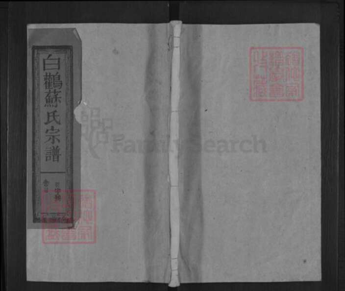 江西省上饶市上饶县苏氏族谱-白鹳苏氏宗谱.pdf电子版缩略图