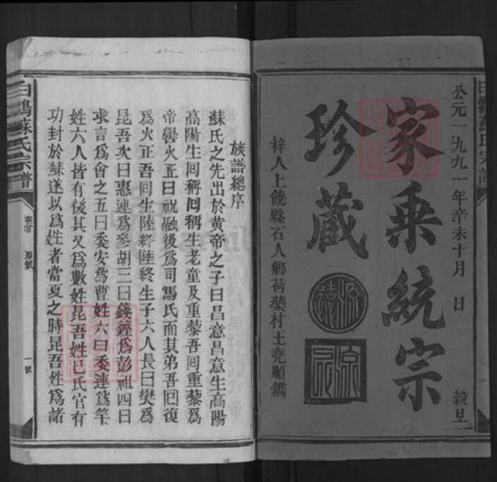 江西省上饶市上饶县苏氏族谱-白鹳苏氏宗谱.pdf电子版预览图1