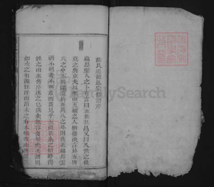 江西省上饶市上饶县茶亭镇苏氏族谱-苏氏宗谱.pdf电子版预览图1