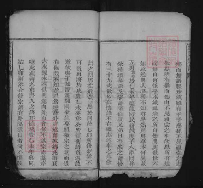 江西省上饶市上饶县茶亭镇苏氏族谱-苏氏宗谱.pdf电子版预览图3