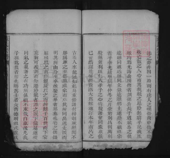 江西省上饶市上饶县茶亭镇苏氏族谱-苏氏宗谱.pdf电子版预览图4