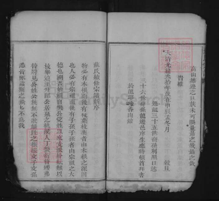 江西省上饶市上饶县茶亭镇苏氏族谱-苏氏宗谱.pdf电子版预览图5