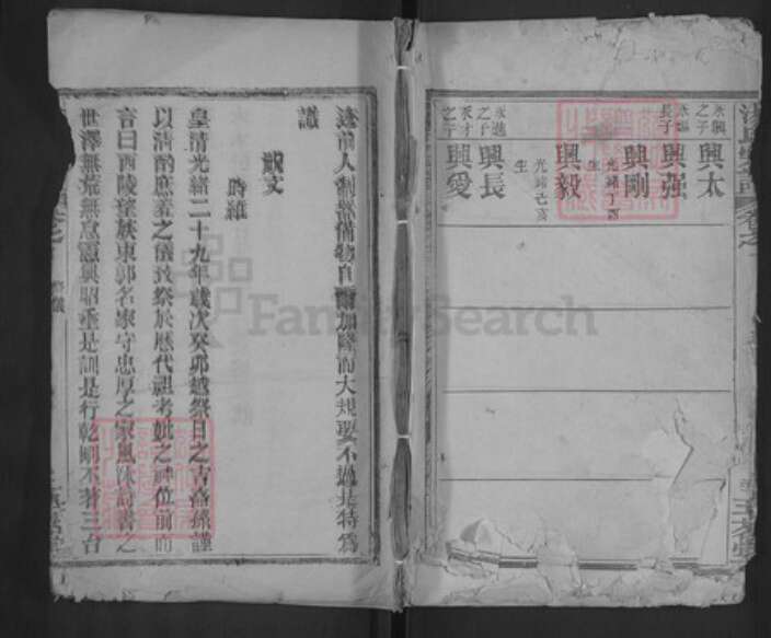 湖北省武汉市黄陂区汤氏玉茗堂族谱-汤氏宗谱.pdf电子版缩略图