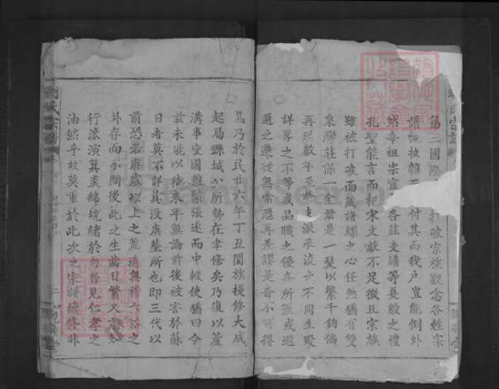 湖北省黄石市阳新县排市镇明氏亲睦堂族谱-明氏宗谱.pdf电子版预览图2