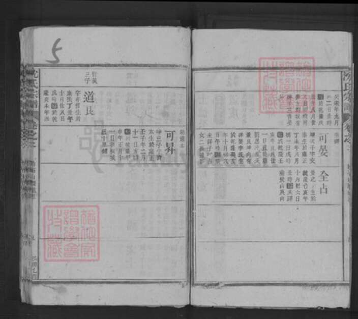 江西省宜春市袁州区沈氏三义堂族谱-沈氏宗谱.pdf电子版预览图5