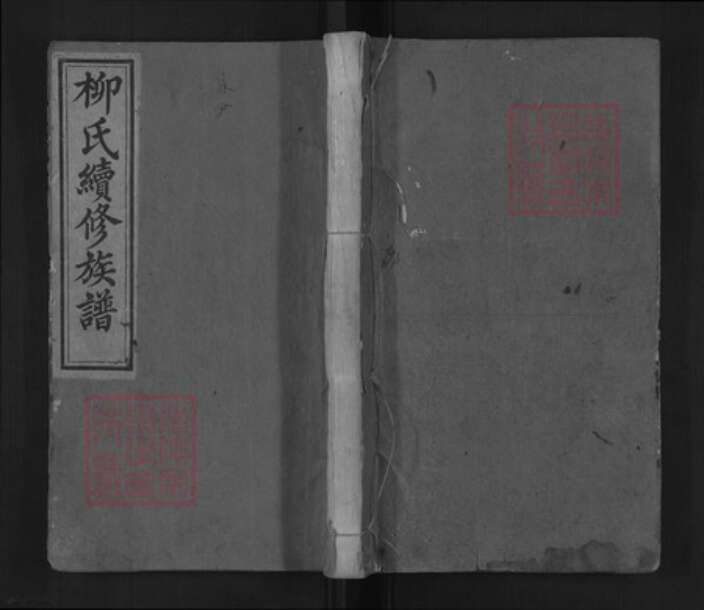 湖南省邵阳市新宁县金石镇柳氏河东堂族谱-柳氏续修族谱.pdf电子版缩略图