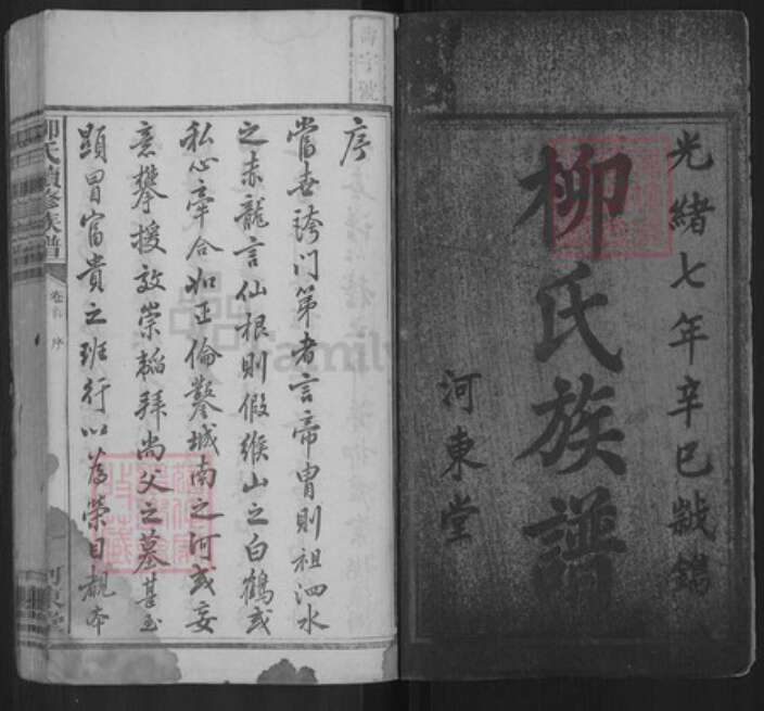 湖南省邵阳市新宁县金石镇柳氏河东堂族谱-柳氏续修族谱.pdf电子版预览图1