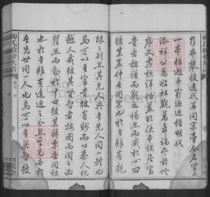 湖南省邵阳市新宁县金石镇柳氏河东堂族谱-柳氏续修族谱.pdf电子版预览图3