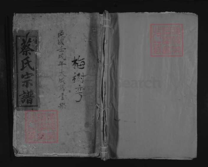 江西省九江市湖口县流泗镇蔡氏族谱-蔡氏宗谱.pdf电子版缩略图