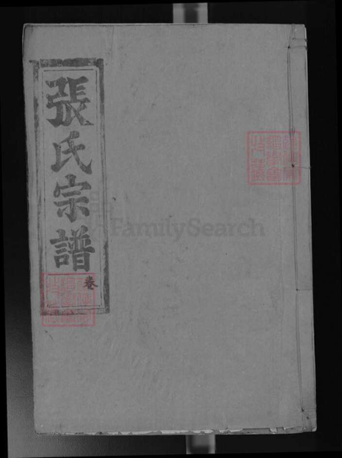 湖北省武汉市江夏区龙泉街道张氏久大堂族谱-张氏忠孝宗谱.pdf电子版缩略图