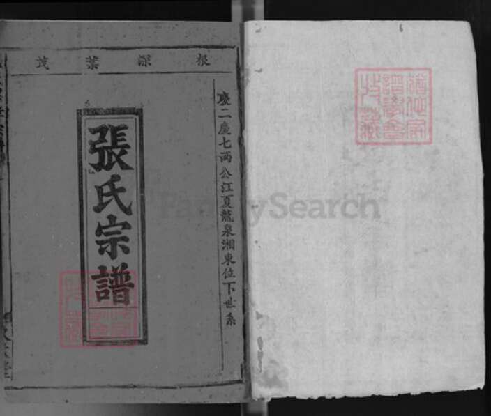 湖北省武汉市江夏区龙泉街道张氏久大堂族谱-张氏忠孝宗谱.pdf电子版预览图1