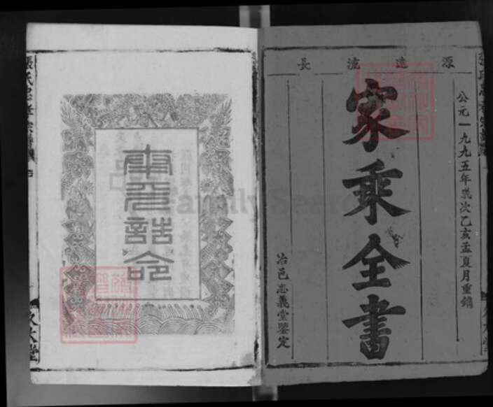 湖北省武汉市江夏区龙泉街道张氏久大堂族谱-张氏忠孝宗谱.pdf电子版预览图2