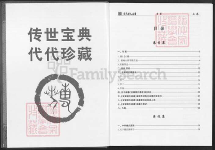 安徽省六安市裕安区单王乡傅氏崇本堂族谱-安微傅氏通谱.pdf电子版预览图2