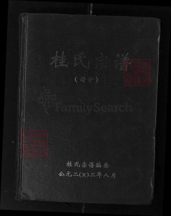 湖北省黄石市阳新县富池镇桂氏族谱-桂氏宗谱.pdf电子版缩略图