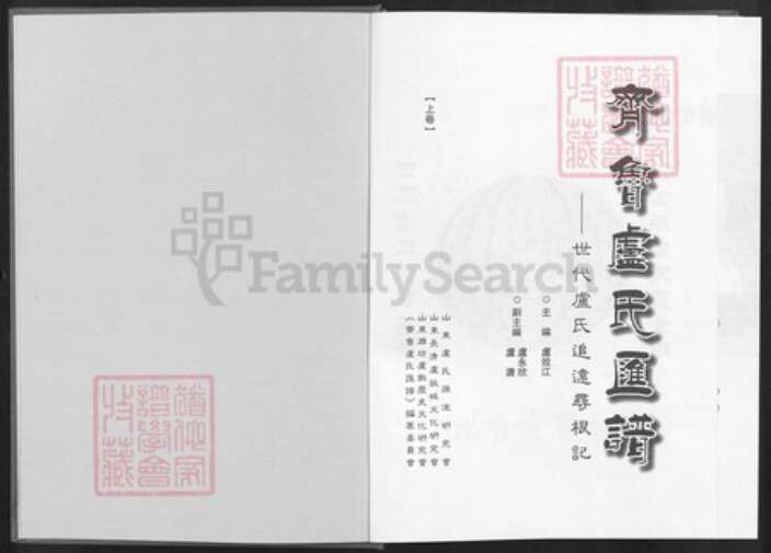 山东省潍坊市昌邑市北孟镇卢氏族谱-齐鲁卢氏汇谱.pdf电子版预览图1