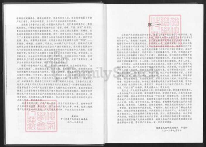 山东省潍坊市昌邑市北孟镇卢氏族谱-齐鲁卢氏汇谱.pdf电子版预览图4