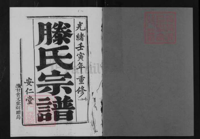 江苏省盐城市亭湖区滕氏安仁堂族谱-盐城滕氏宗谱.pdf电子版预览图1