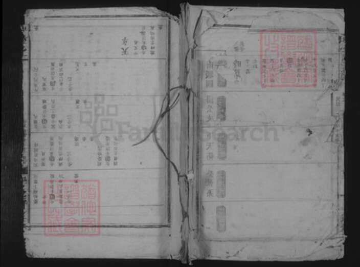 江西省宜春市靖安县尹氏孔硕堂族谱-尹氏宗谱.pdf电子版缩略图