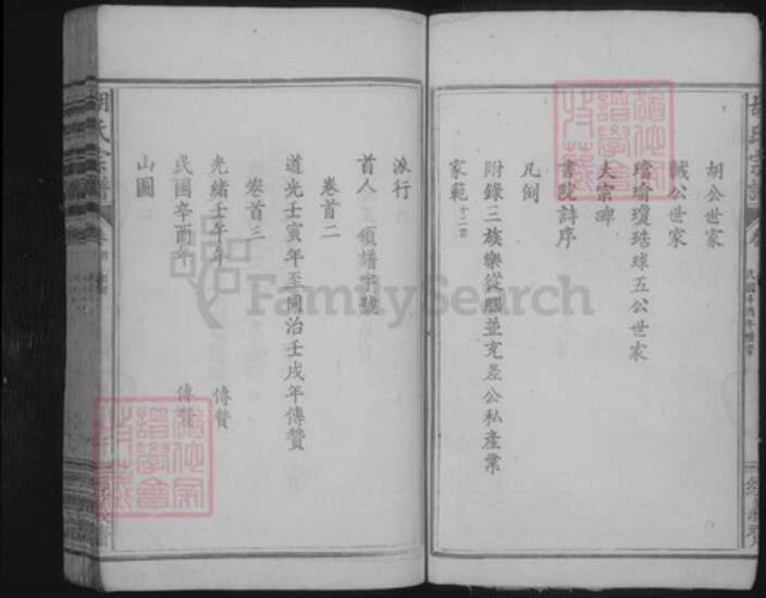 湖北省咸宁市咸安区大幕乡胡氏族谱-胡氏宗谱.pdf电子版预览图4